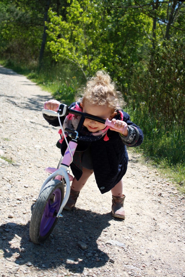 velo enfant violette monte