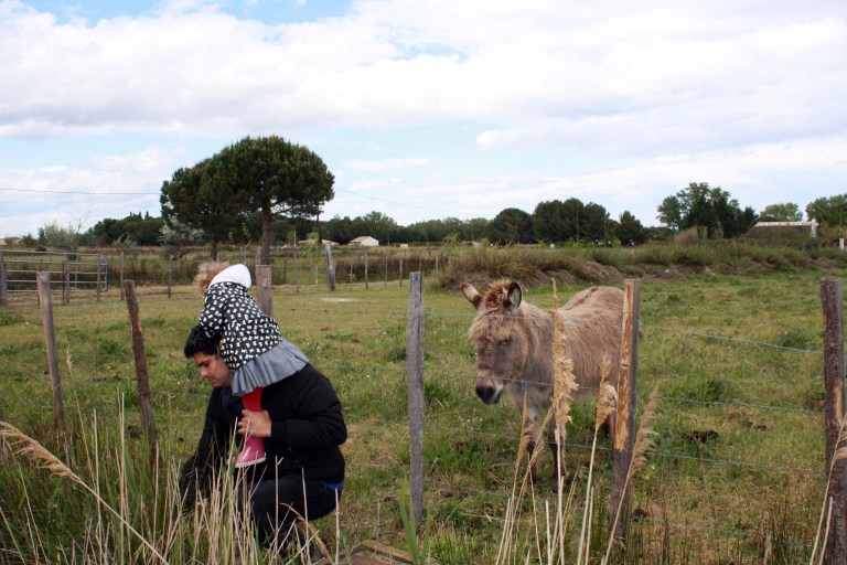 donner a manger a l'ane