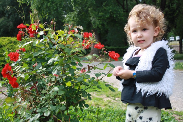 fleurs villa borghese
