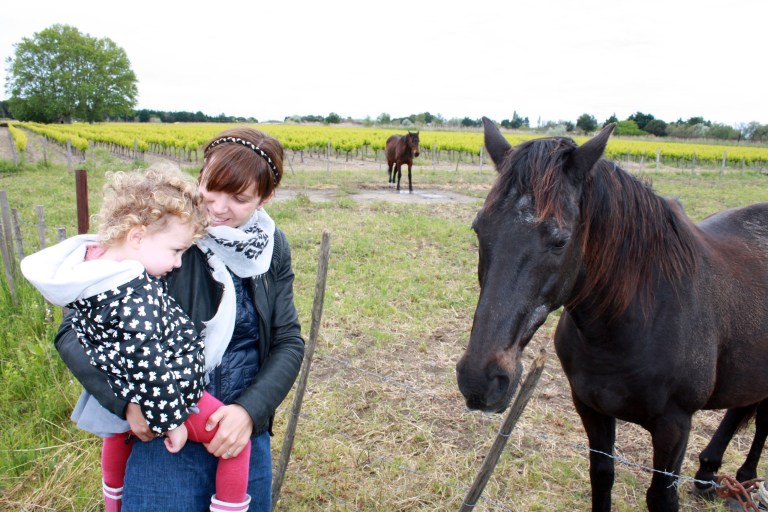 violette et le cheval