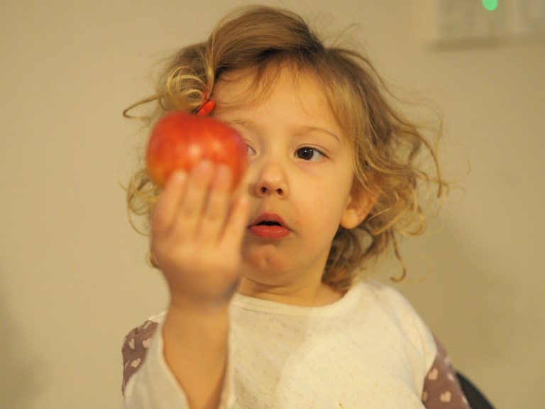 OLYMPUS DIGITAL CAMERA