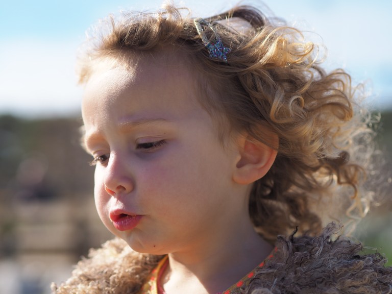 OLYMPUS DIGITAL CAMERA