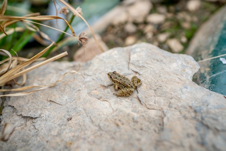 yourte-week-end-nature- (37 sur 37)