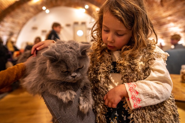 Toulouse-en-famille-kids (13 sur 49)