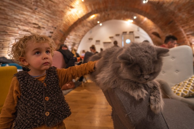 Toulouse-en-famille-kids (14 sur 49)