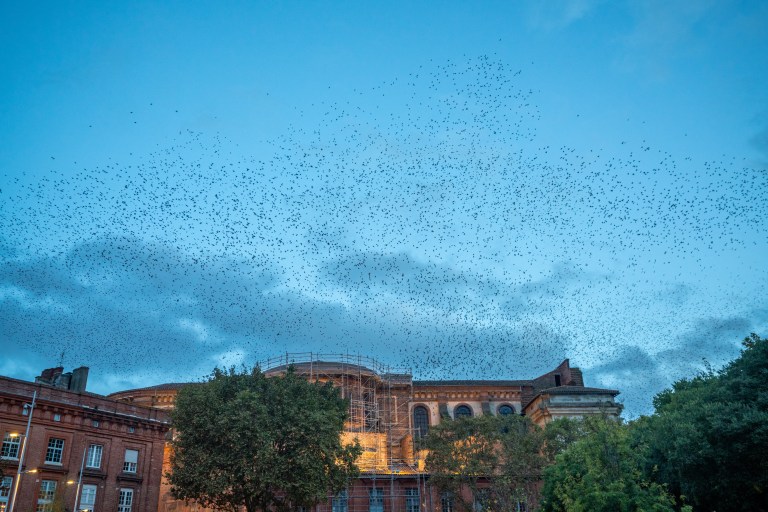 Toulouse-en-famille-kids (3 sur 49)