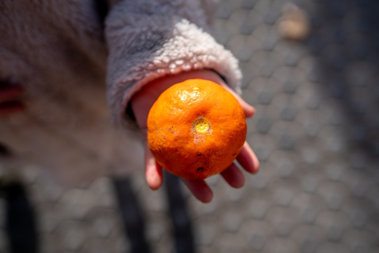 séville-voyager-avec-enfants (18 sur 75)