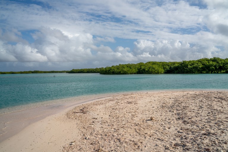 Bonaire-voyager-enfants-caraibes-île (14 sur 54)