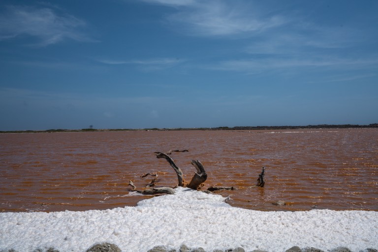 Voyage - Bonaire- ile- vacances-caraibes-famille (11 sur 56)