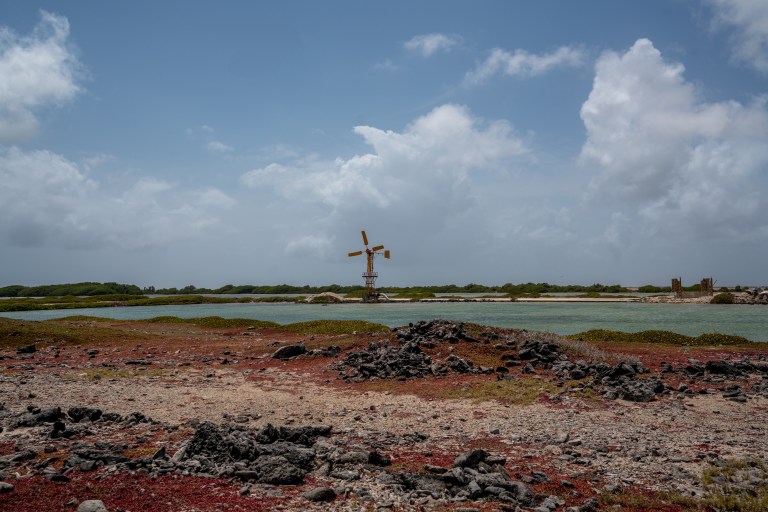 Voyage - Bonaire- ile- vacances-caraibes-famille (23 sur 56)