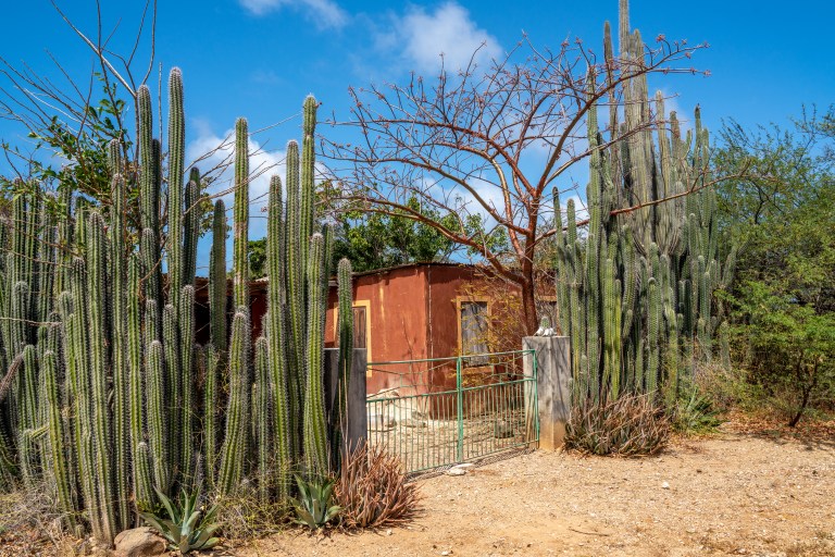 Voyage - Bonaire- ile- vacances-caraibes-famille (3 sur 3)