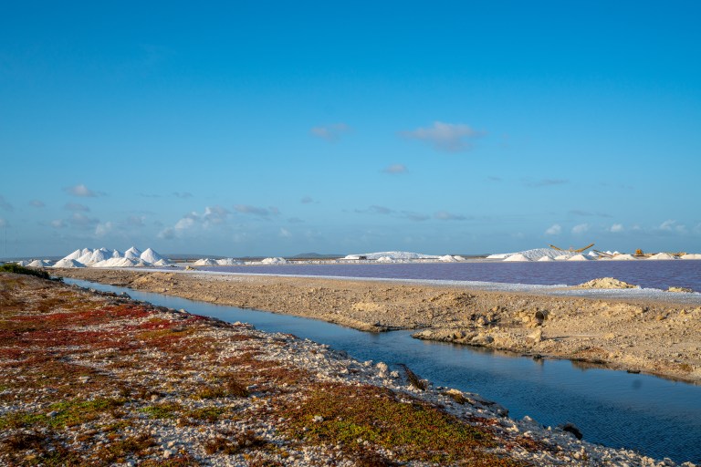 Voyage - Bonaire- ile- vacances-caraibes-famille (46 sur 56)