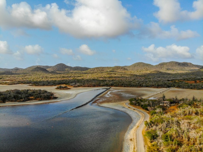 created by dji camera