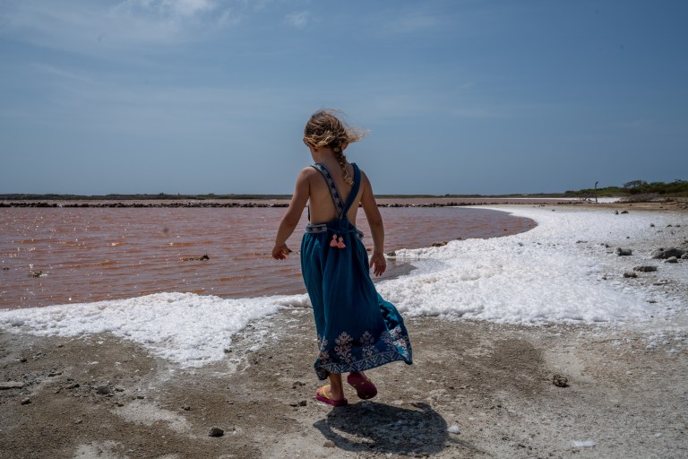 Voyage - Bonaire- ile- vacances-caraibes-famille (6 sur 56)