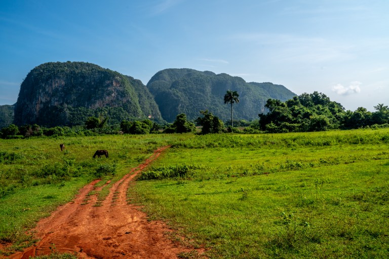Vinales-Cuba-playa-voyage-famille (15 sur 45)