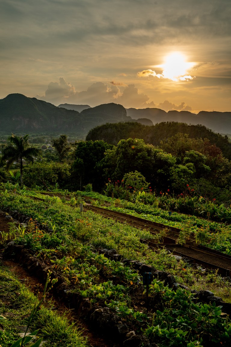 Vinales-Cuba-playa-voyage-famille (26 sur 45)
