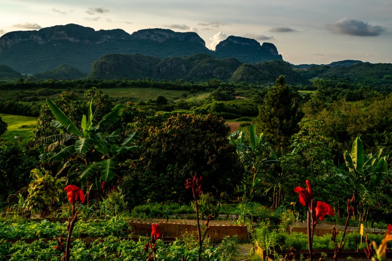 Vinales-Cuba-playa-voyage-famille (27 sur 45)