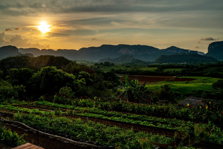 Vinales-Cuba-playa-voyage-famille (28 sur 45)