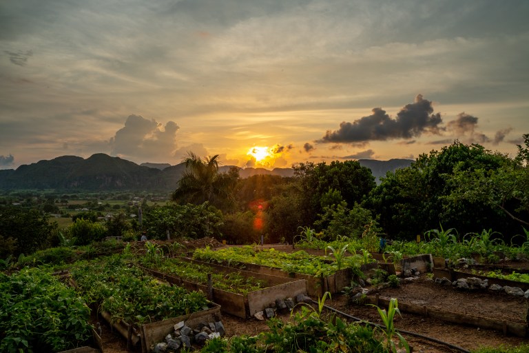 Vinales-Cuba-playa-voyage-famille (30 sur 45)
